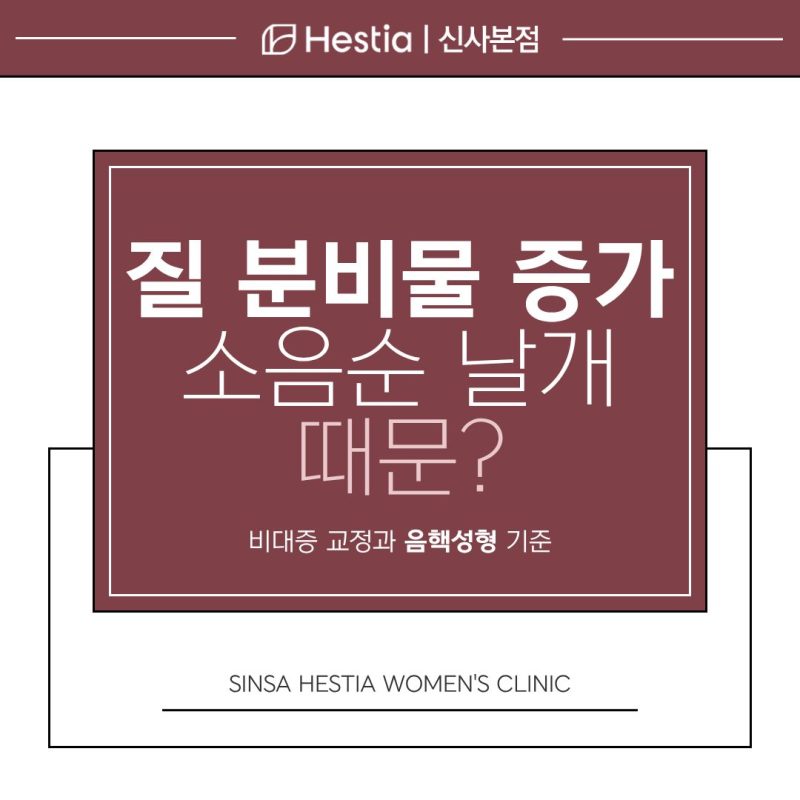 질 분비물 증가 원인이 소음순 날개 때문? 음핵성형도 필요한 순간